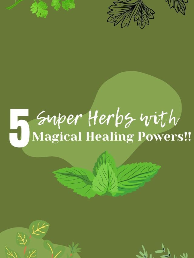 5 Super Herbs with Magical Healing Powers!