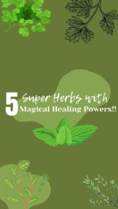 Read more about the article 5 Super Herbs with Magical Healing Powers!
